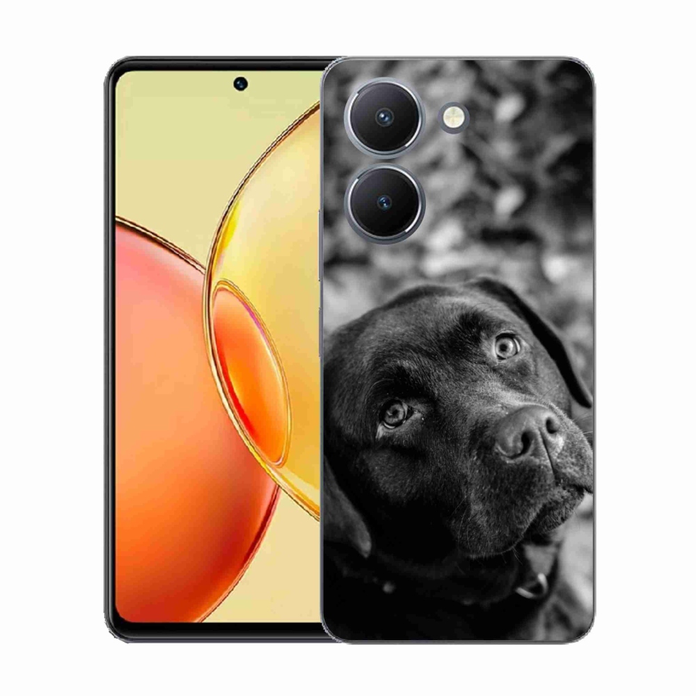 Gél borítás mmCase a Vivo Y36-hoz - labrador
