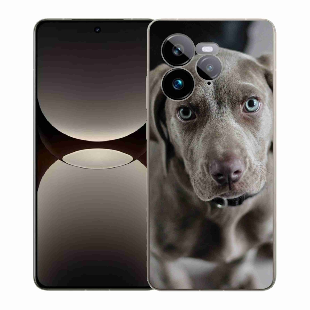 Gél borítás mmCase a Realme GT 7 Pro 5G készülékhez - Weimaraner
