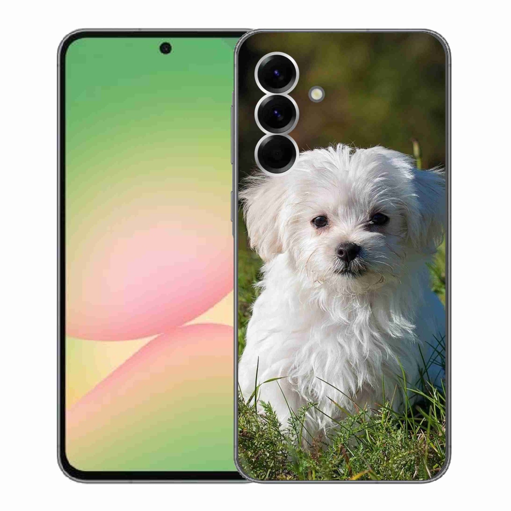 Gél védőhuzat mmCase Samsung Galaxy A56 5G - bichon