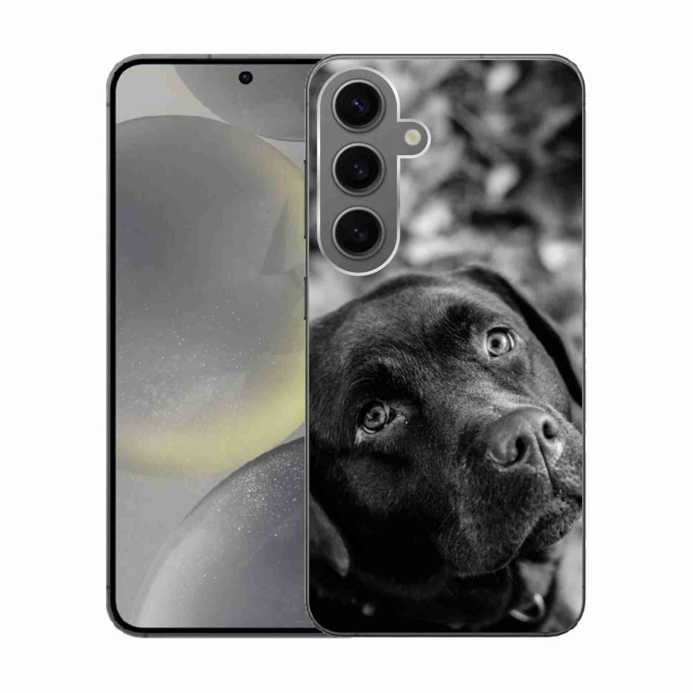 Gél tok mmCase a Samsung Galaxy S24 készülékhez - labrador