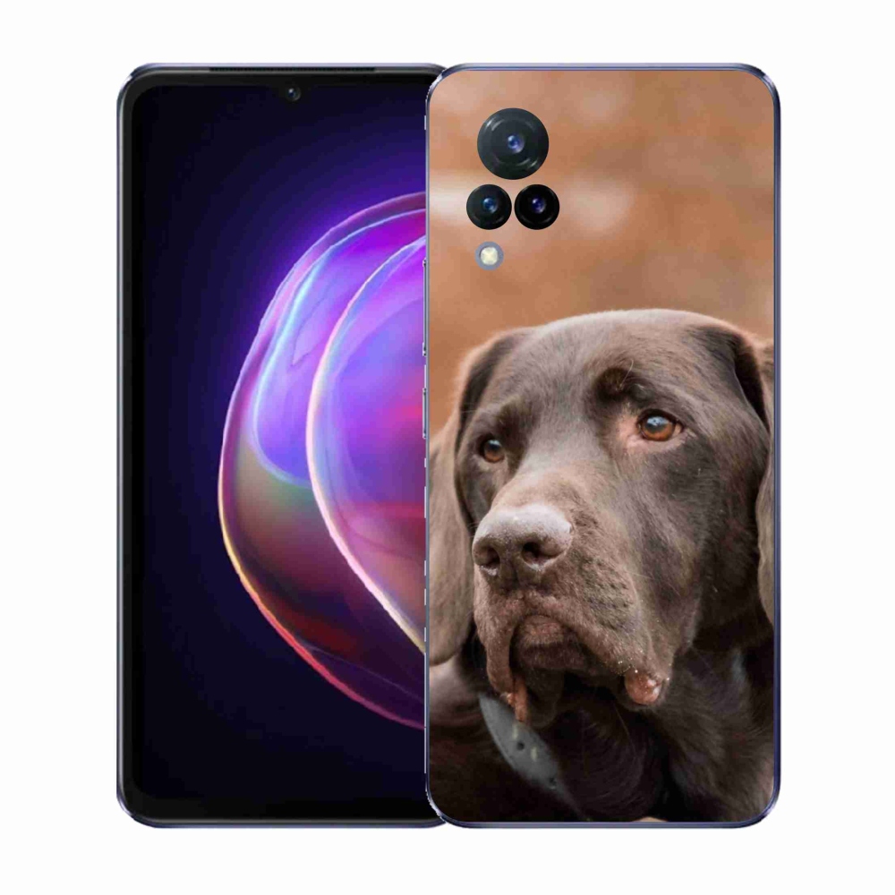 Gél borítás mmCase a Vivo V21 4G/5G készülékhez - barna labrador