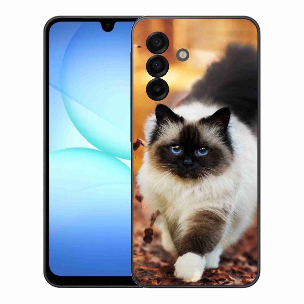 Gél védőburkolat mmCase Samsung Galaxy A17 4G/5G - macska