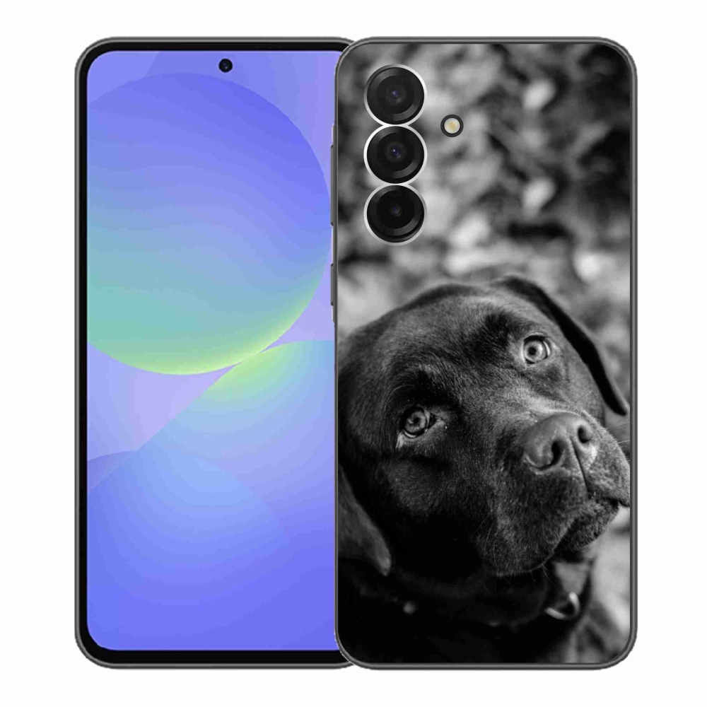Gél védőhuzat mmCase Samsung Galaxy A36 5G - labrador