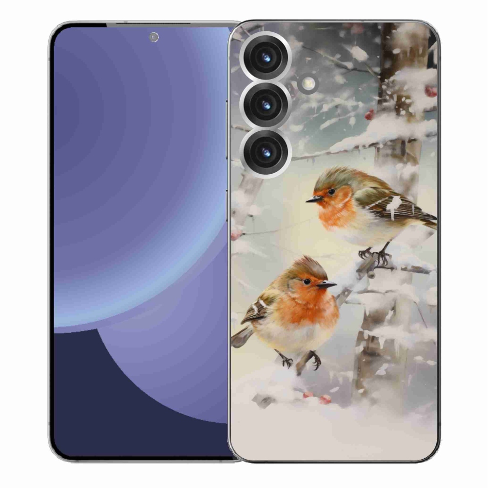 Gél borítás mmCase Samsung Galaxy S25+ készülékhez - madarak télen