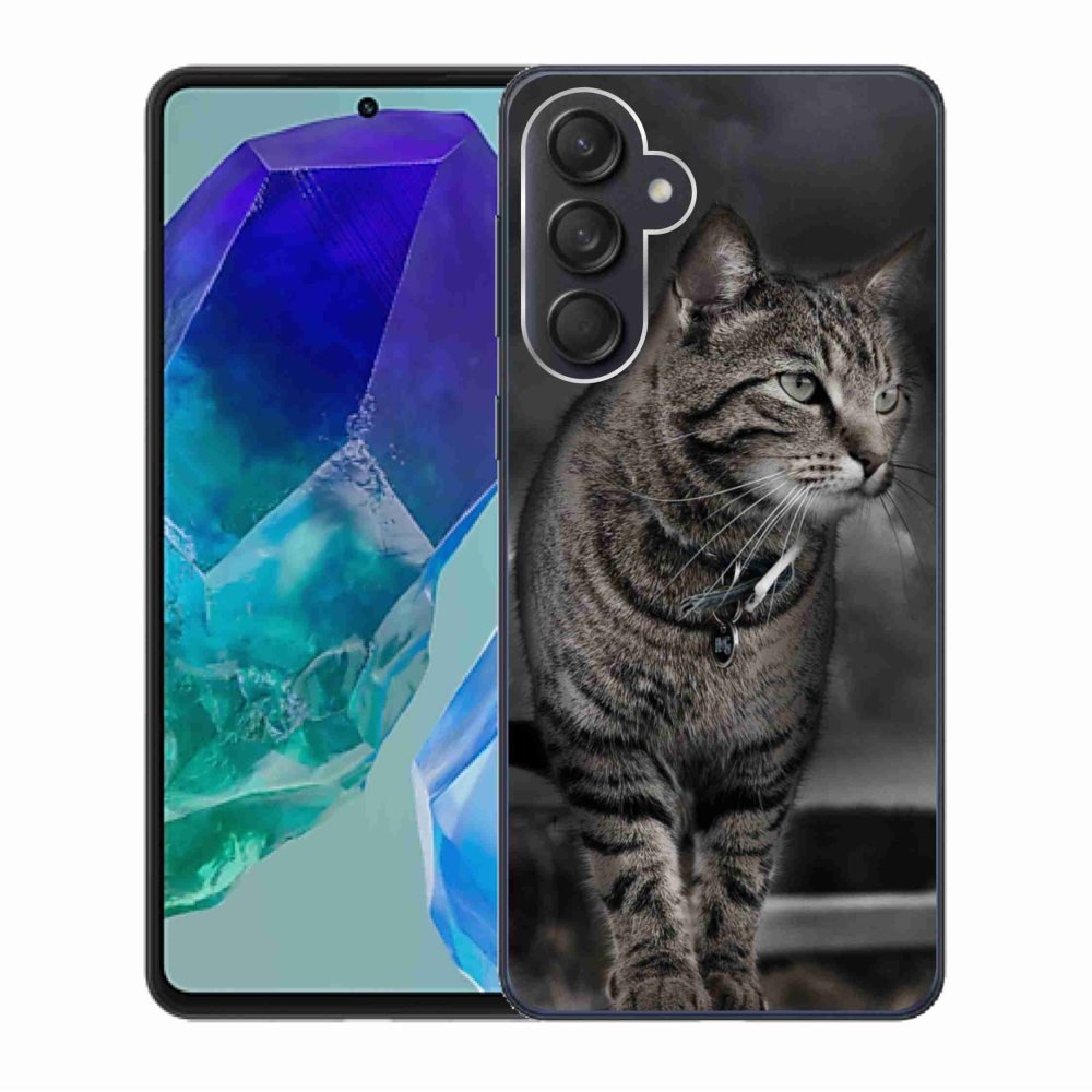 Zselés borítás mmCase Samsung Galaxy M55 5G - macska