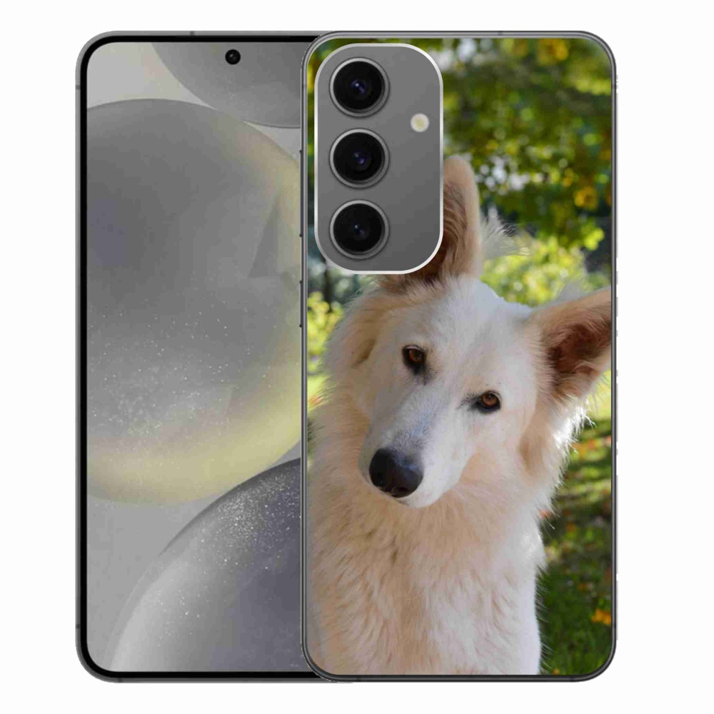 Gél védőhuzat mmCase Samsung Galaxy S24+ - fehér svájci juhász 1