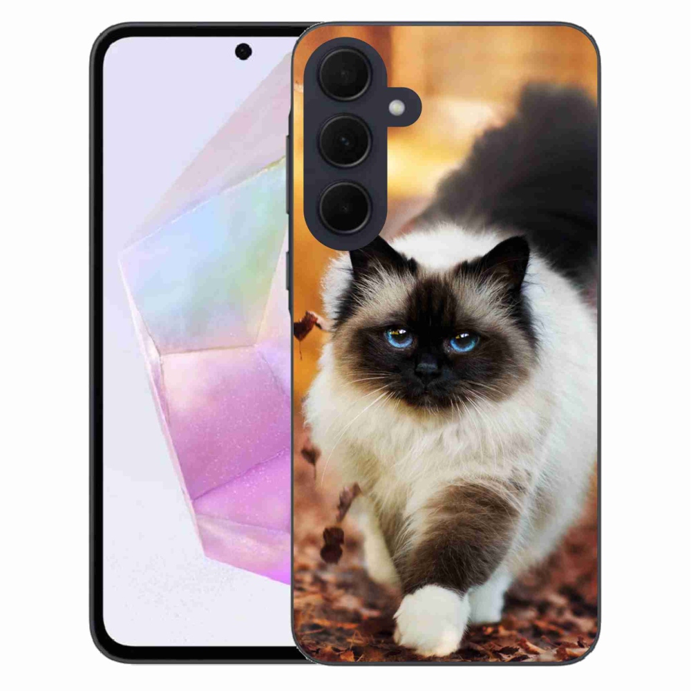 Gél tok mmCase a Samsung Galaxy A35 5G készülékhez - macska
