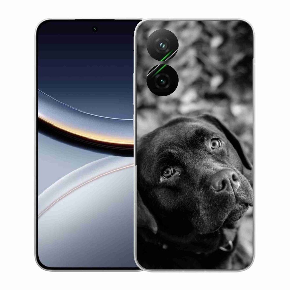 Gél borítás mmCase a Xiaomi Poco F7 5G-hez - labrador