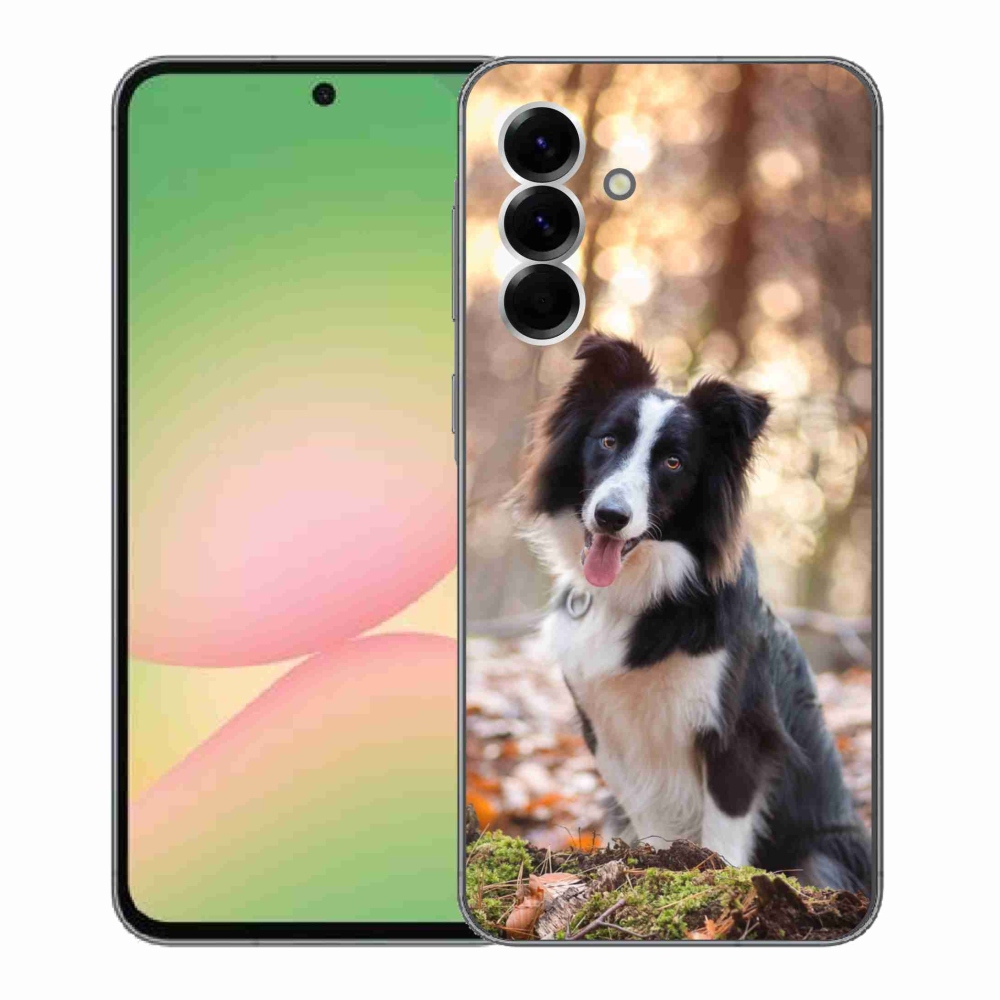 Gél borító mmCase Samsung Galaxy A56 5G - border colie 1