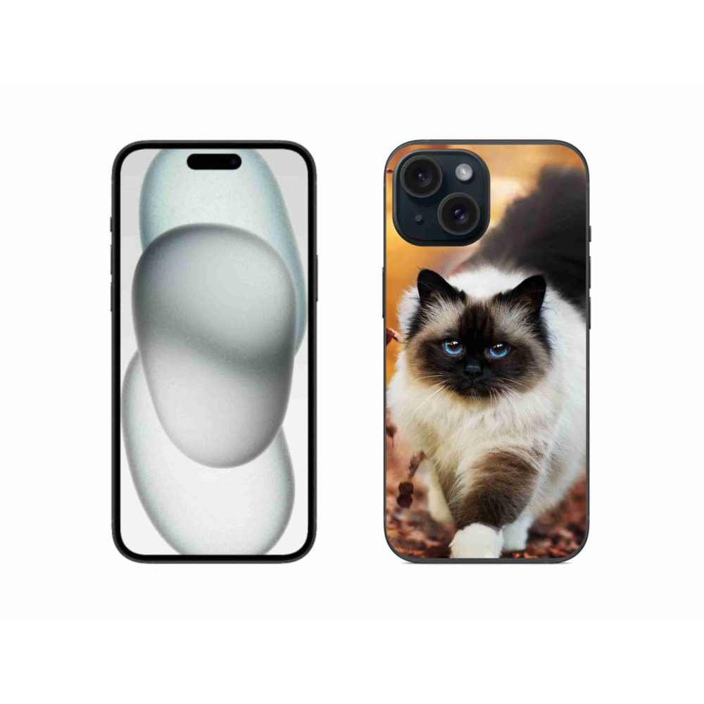 Gél tok mmCase iPhone 15 készülékhez - macska