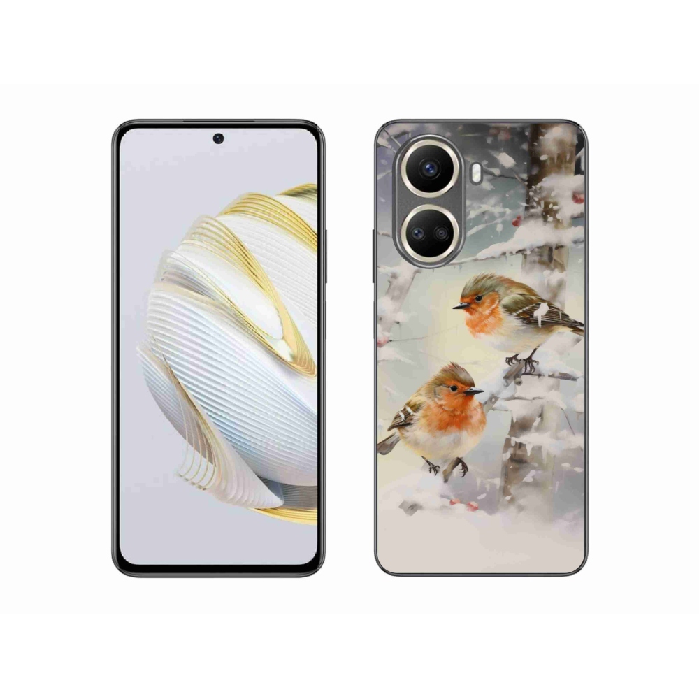 Gél borítás mmCase a Huawei Nova 10 SE-hez - madarak télen
