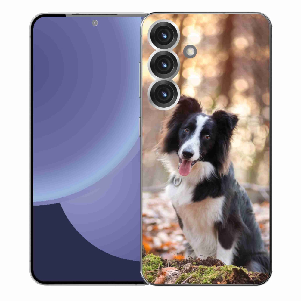 Gél védőhuzat mmCase Samsung Galaxy S25+ - border colie 1