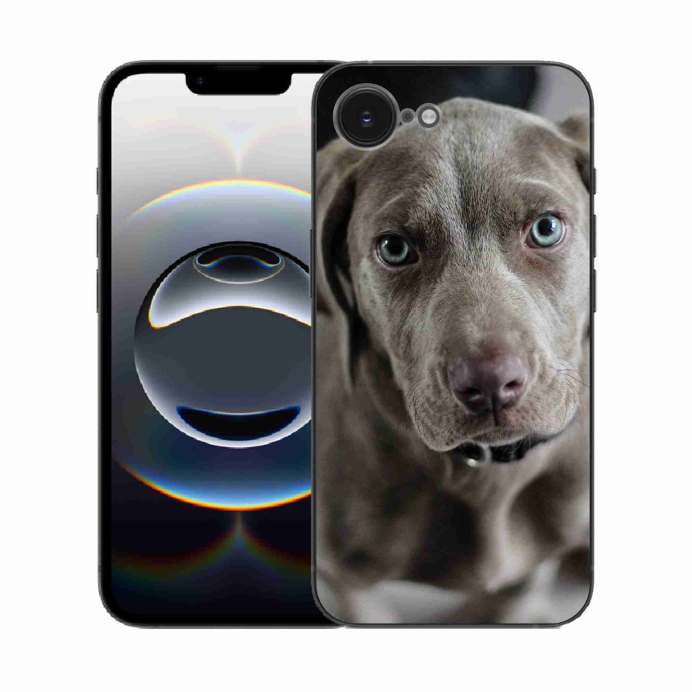 Zselés borítás mmCase iPhone 16e készülékhez - Weimaraner