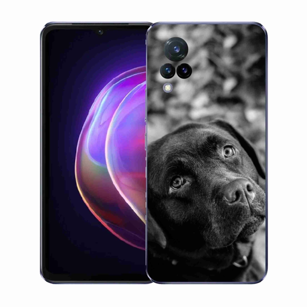 Gél borítás mmCase a Vivo V21 4G/5G készülékhez - labrador színű