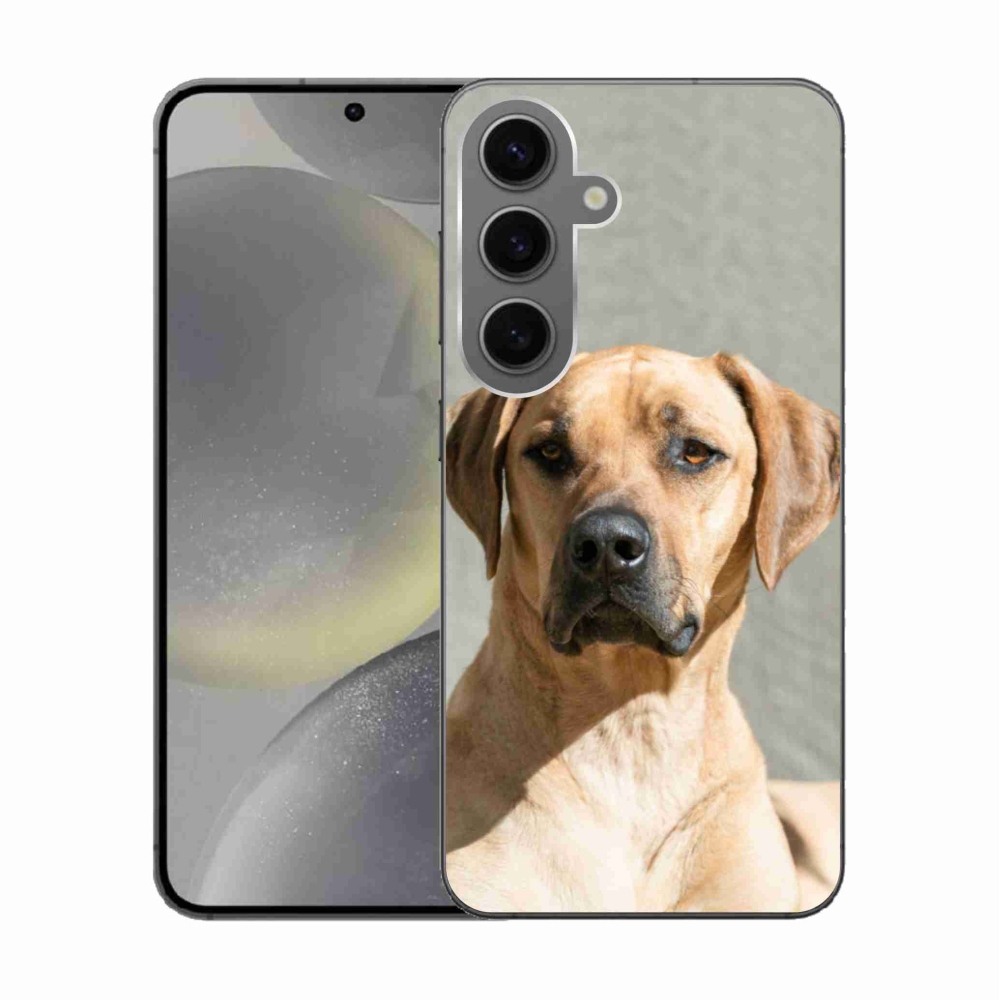 Zselés borítás mmCase Samsung Galaxy S24 készülékhez - ridgeback