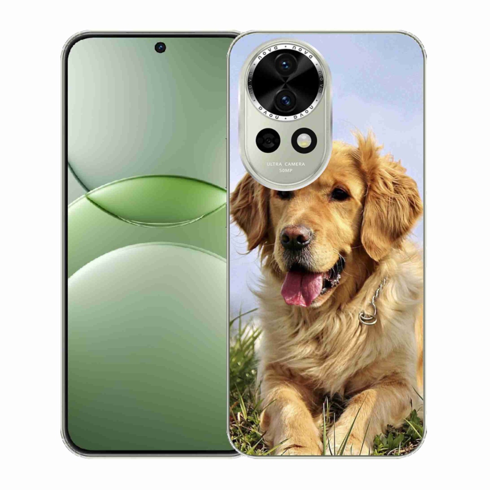 Gél borítás mmCase a Huawei Nova 13 5G készülékhez - arany retriever