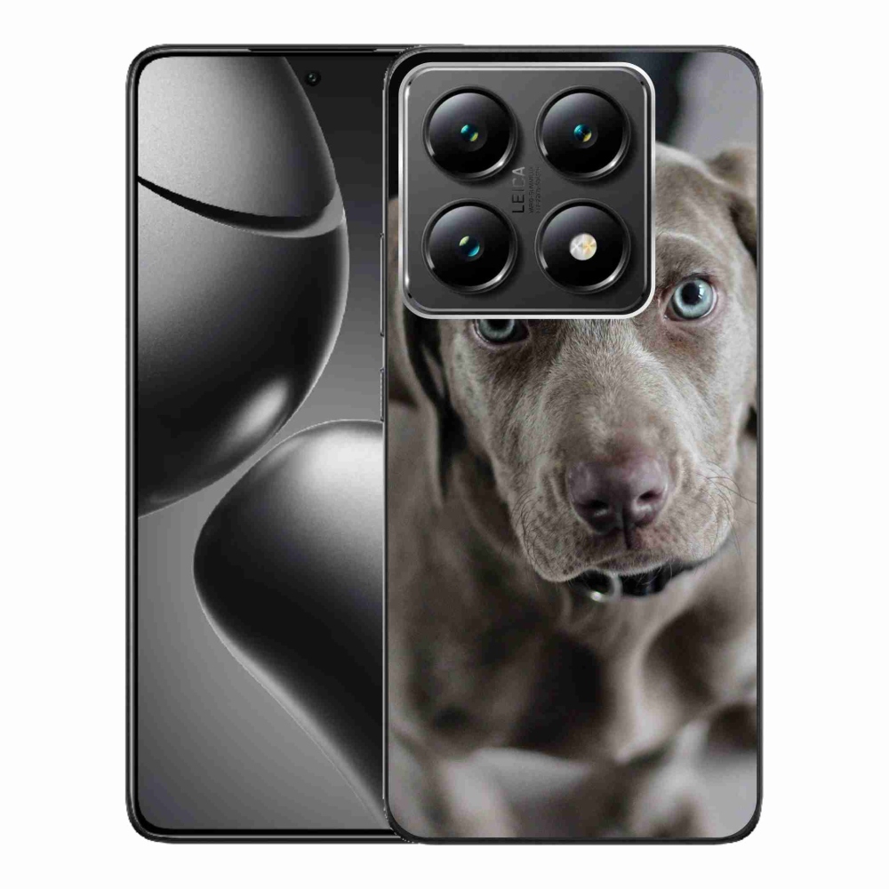 Gél borítás mmCase a Xiaomi 14T Pro számára - a pomerániai kutya