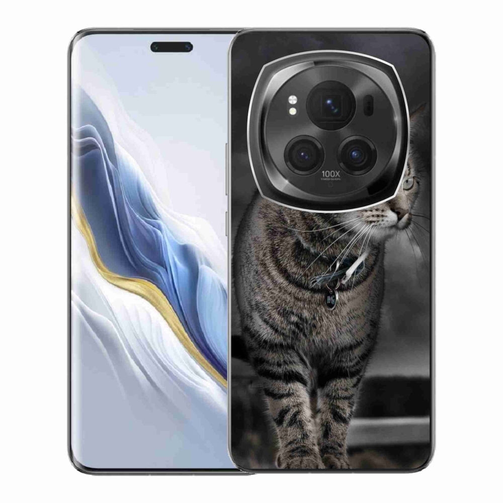 Zselés borítás mmCase a Honor Magic 6 Pro 5G készülékhez - macska