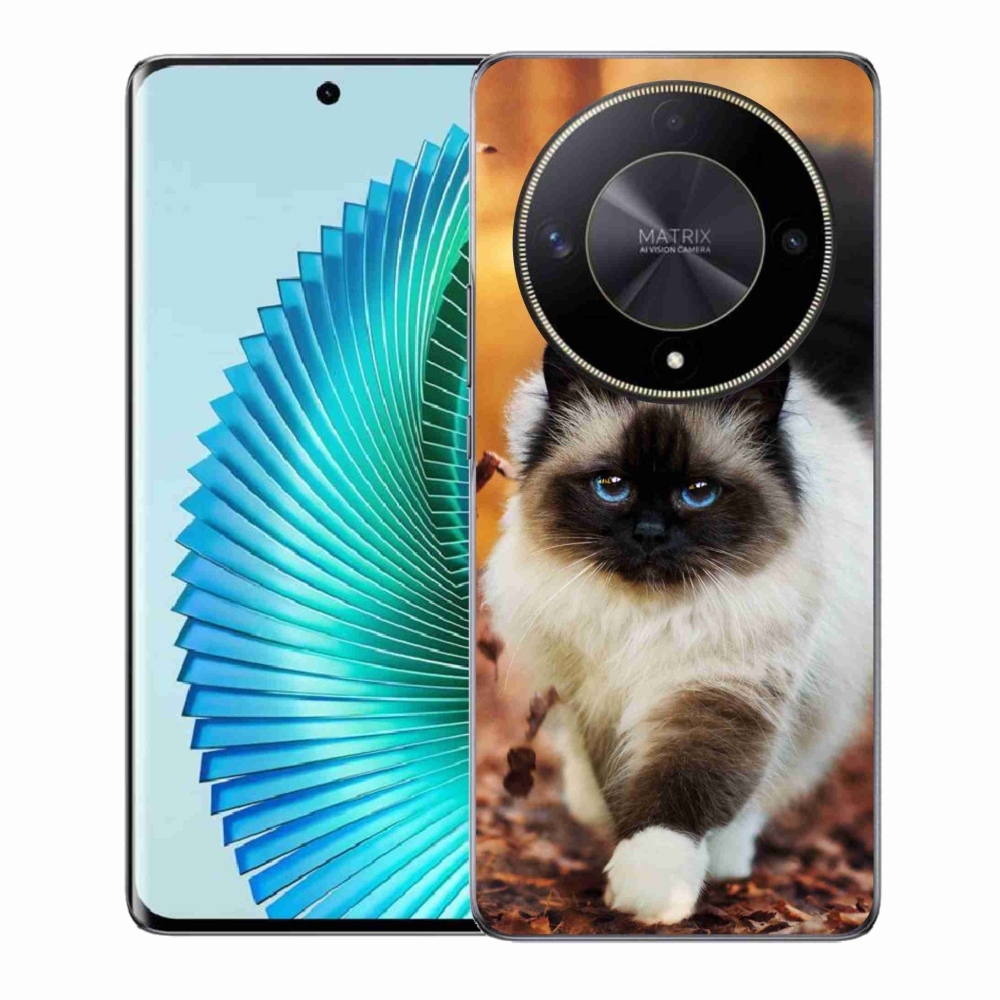 Gél tok mmCase a Honor Magic 6 Lite 5G számára - macska