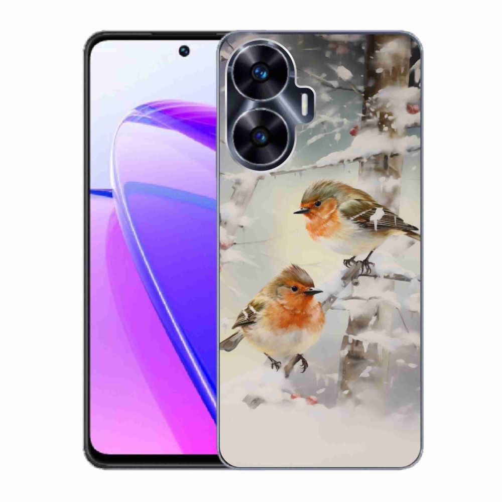 Gél borítás mmCase a Realme C55 készülékhez - madarak télen