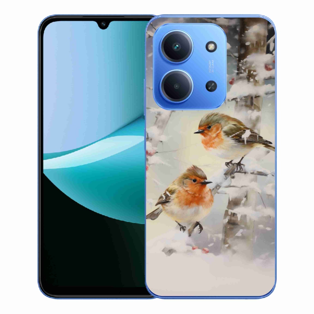 Gél borítás mmCase a Xiaomi Redmi 15C 4G/5G (173mm) - madarak télen