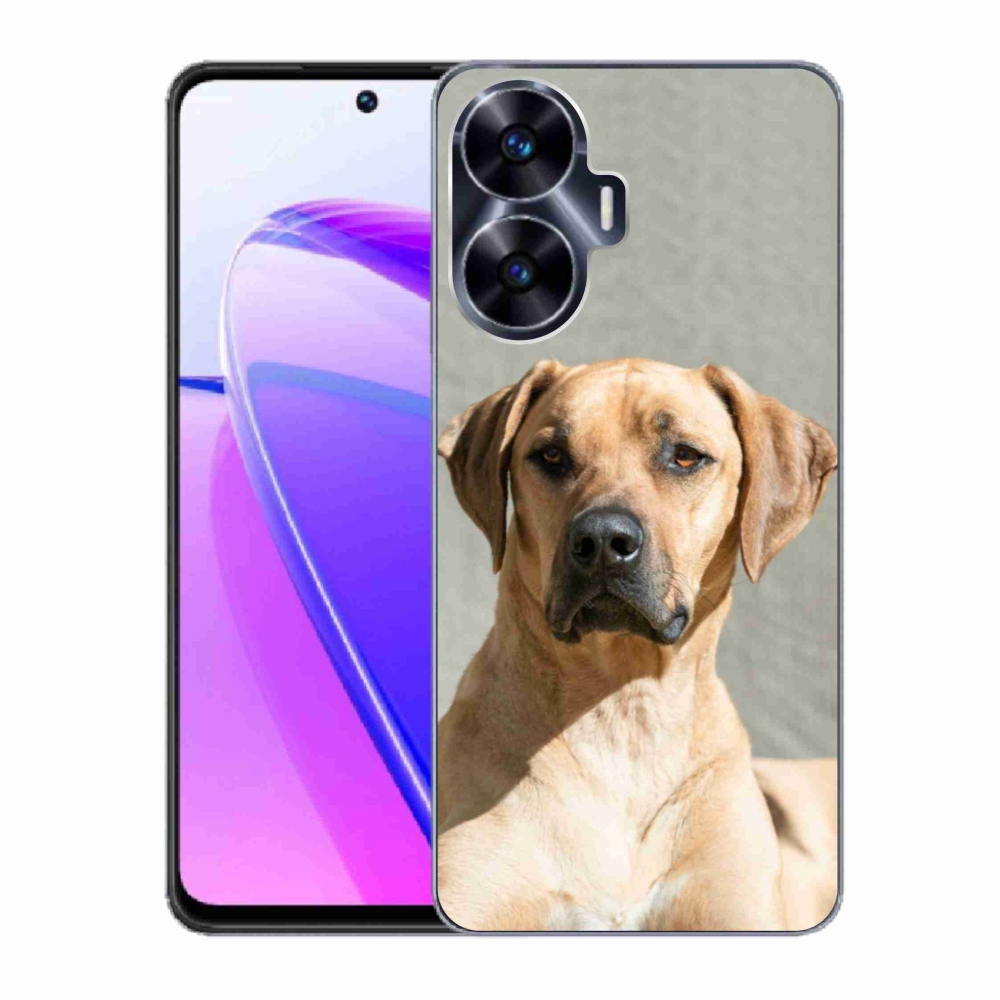 Gél borítás mmCase a Realme C55 készülékhez - ridgeback