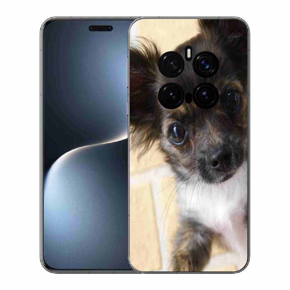 Gél borítás mmCase a Honor Magic 7 Pro 5G készülékhez - Chihuahua 2