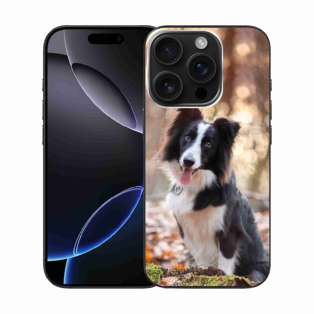 Gél tok mmCase iPhone 16 Pro készülékhez - border colie 1
