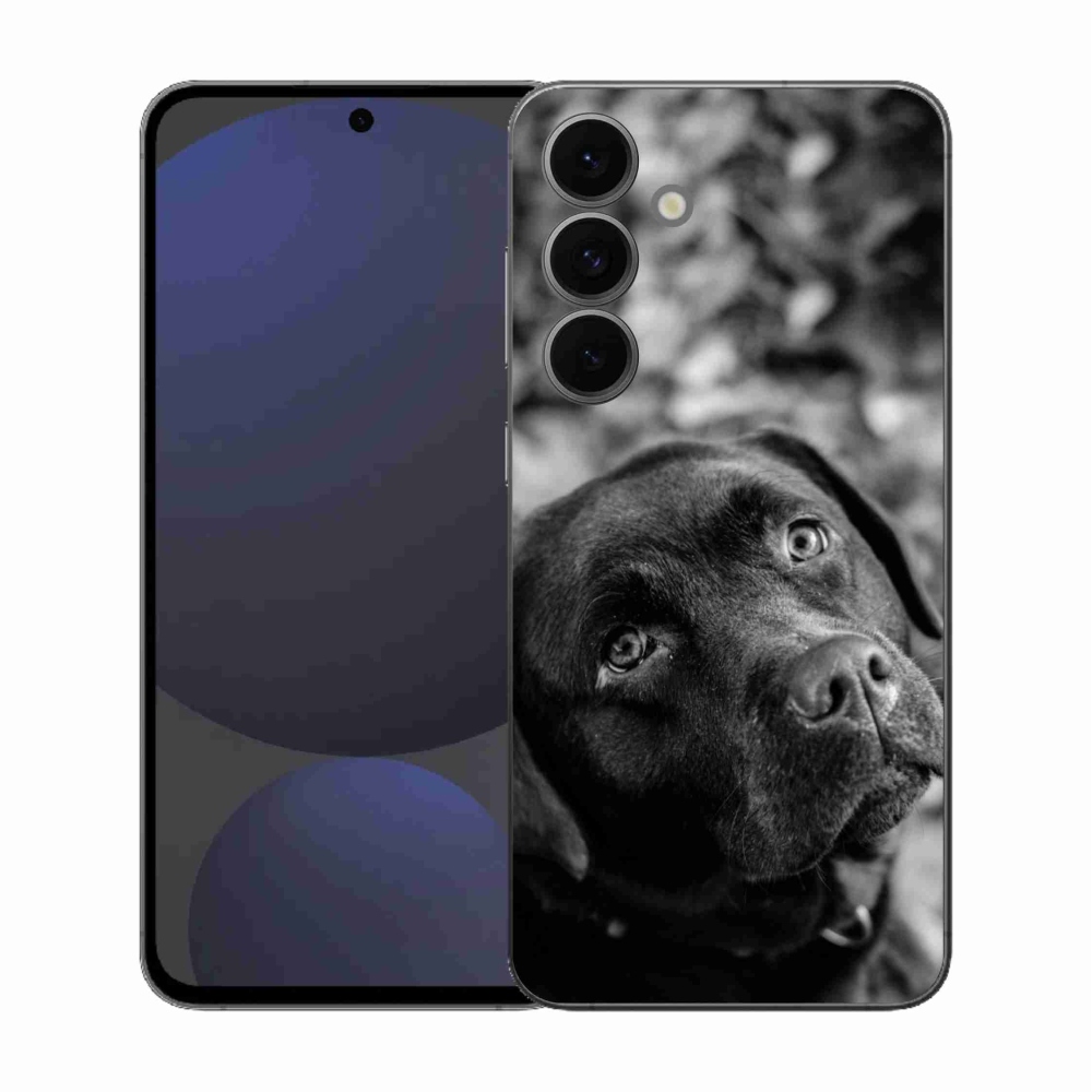 Gél védőhuzat mmCase Samsung Galaxy S25 FE - labrador