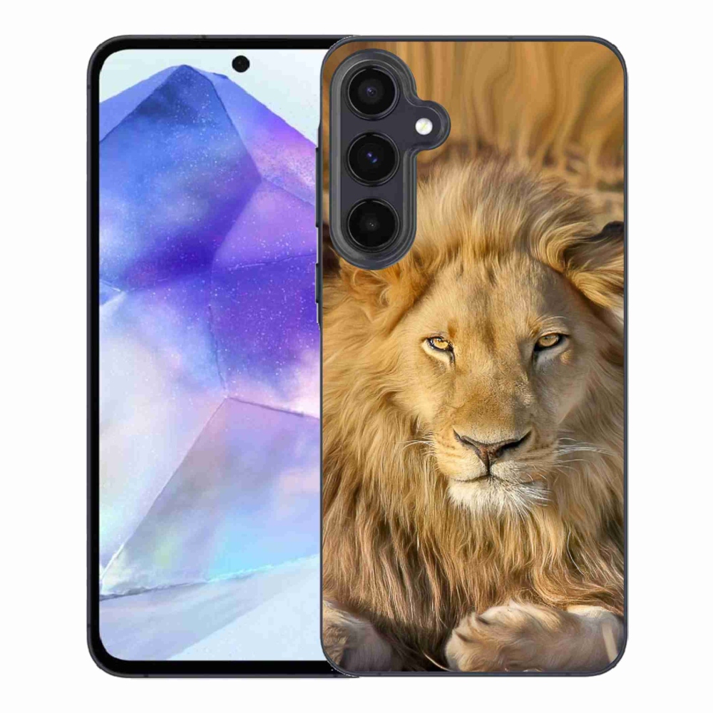 Gél védőburkolat mmCase Samsung Galaxy A55 5G - Lion 2