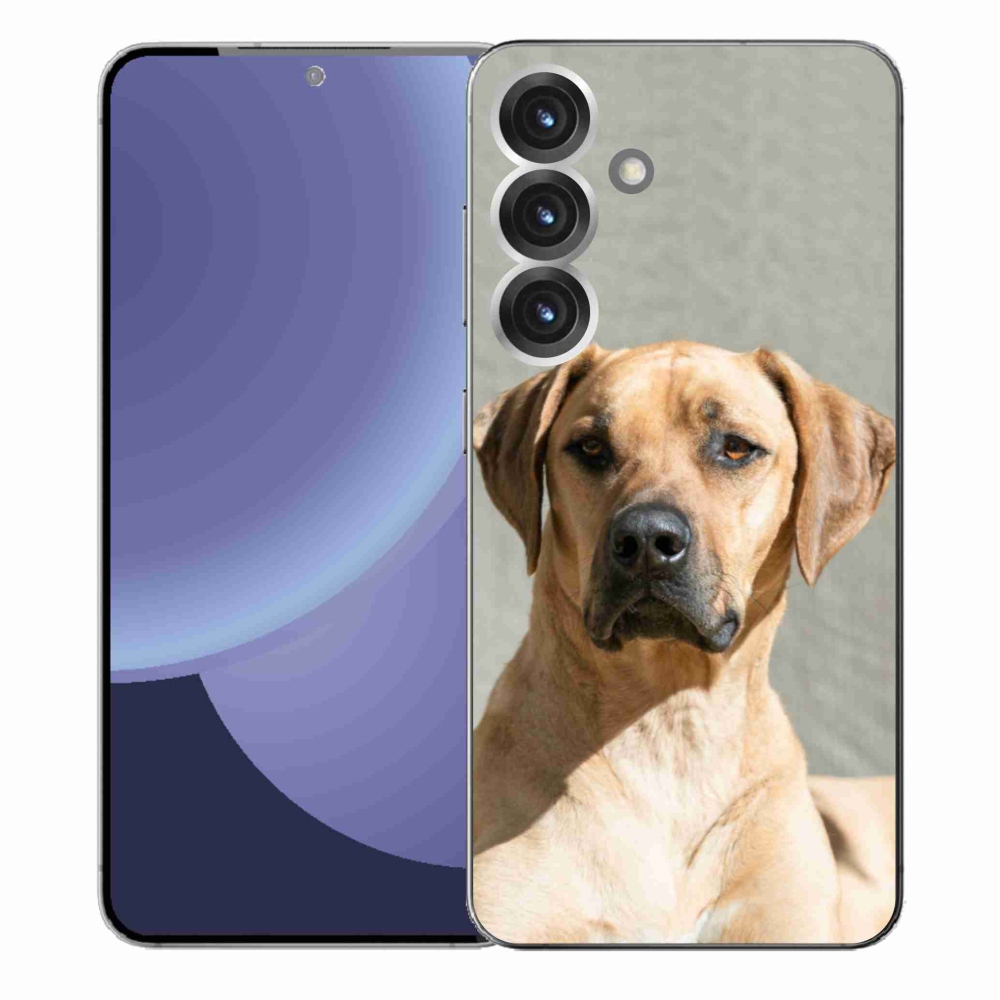 Zselés borítás mmCase Samsung Galaxy S25+ készülékhez - ridgeback