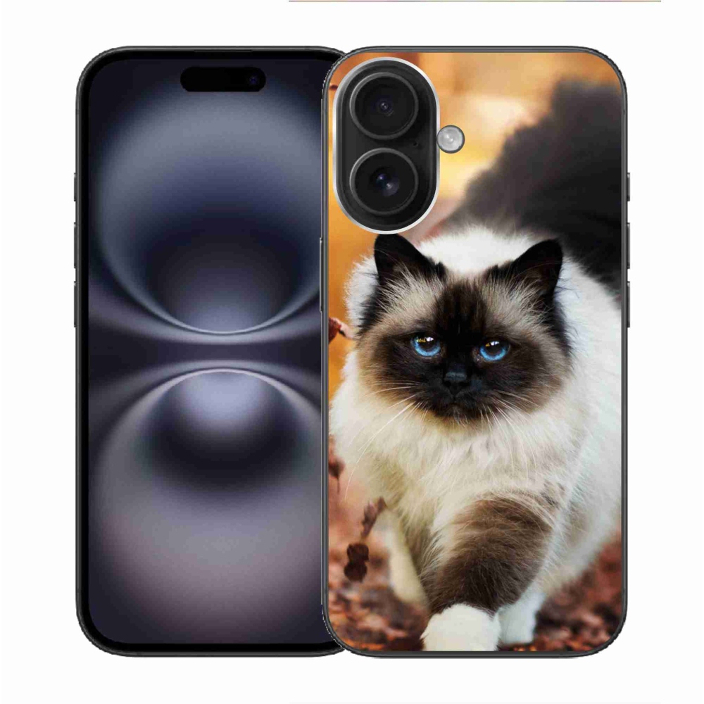 Gél tok mmCase iPhone 16 készülékhez - macska