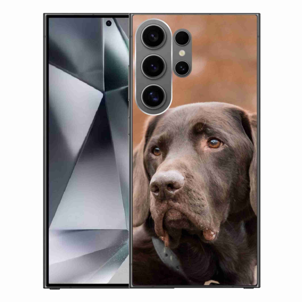 Gél tok mmCase Samsung Galaxy S24 Ultra készülékhez - barna labrador