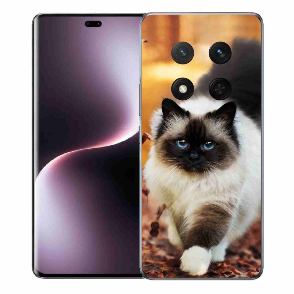 Gél borítás mmCase a Honor Magic 7 Lite 5G készülékhez - macska