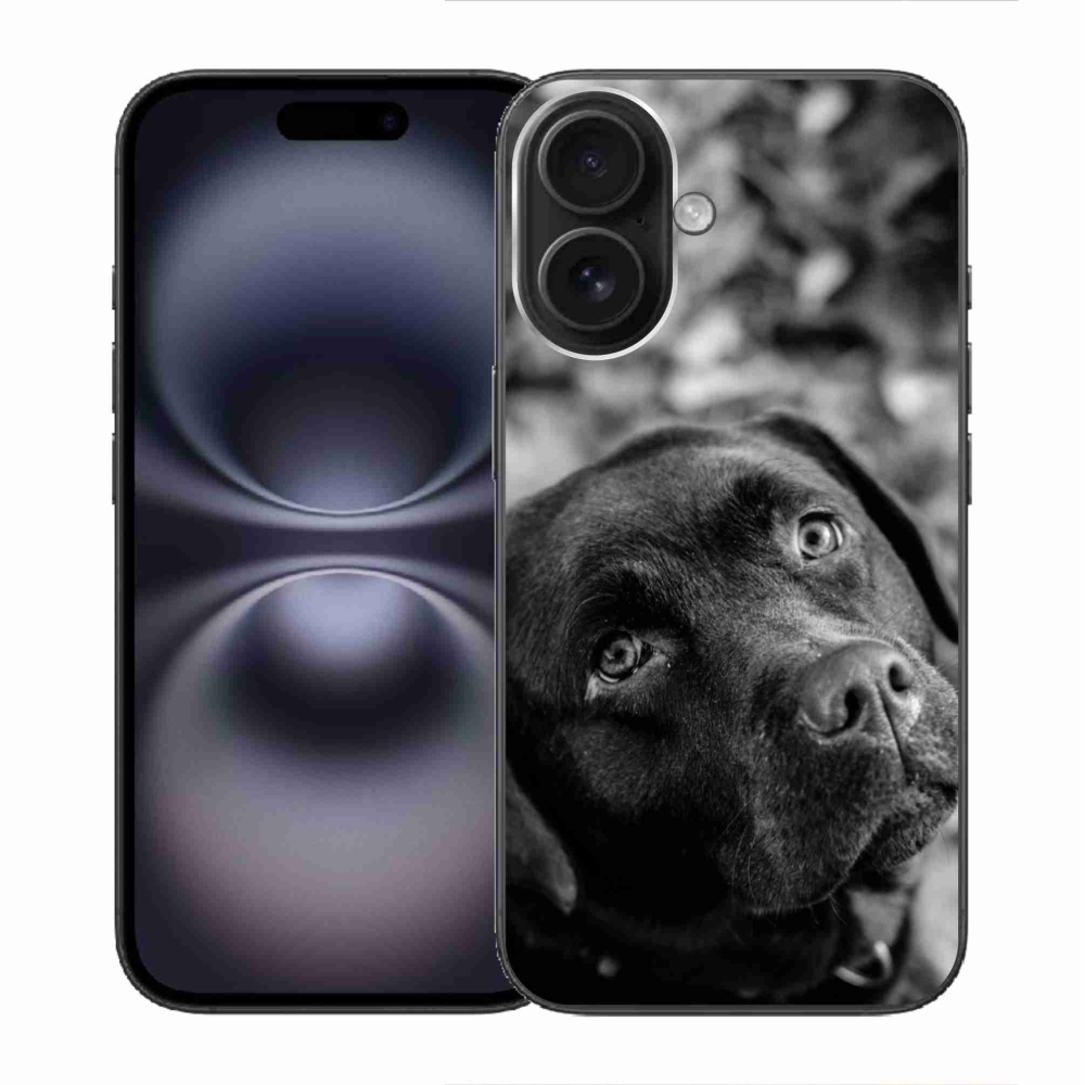 Gél tok mmCase iPhone 16 készülékhez - labrador