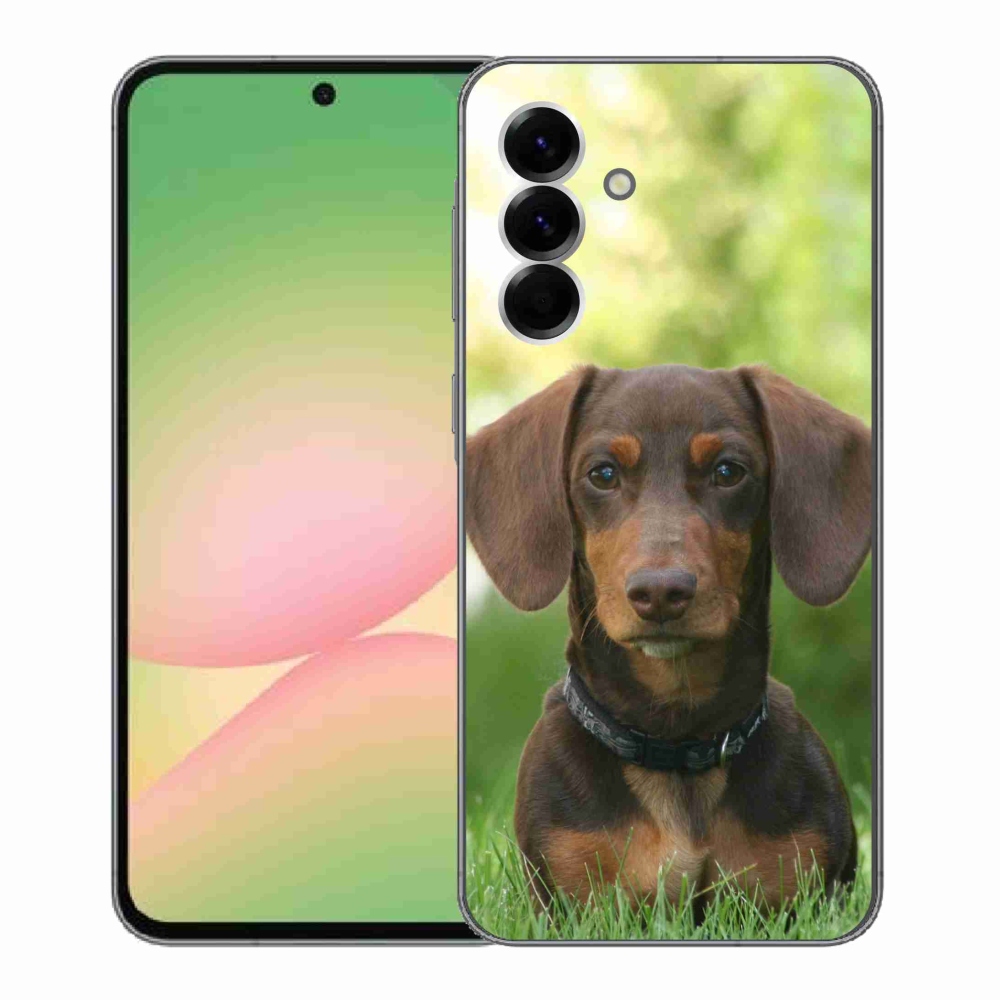 Zselés borítás mmCase Samsung Galaxy A56 5G - barna tacskóhoz