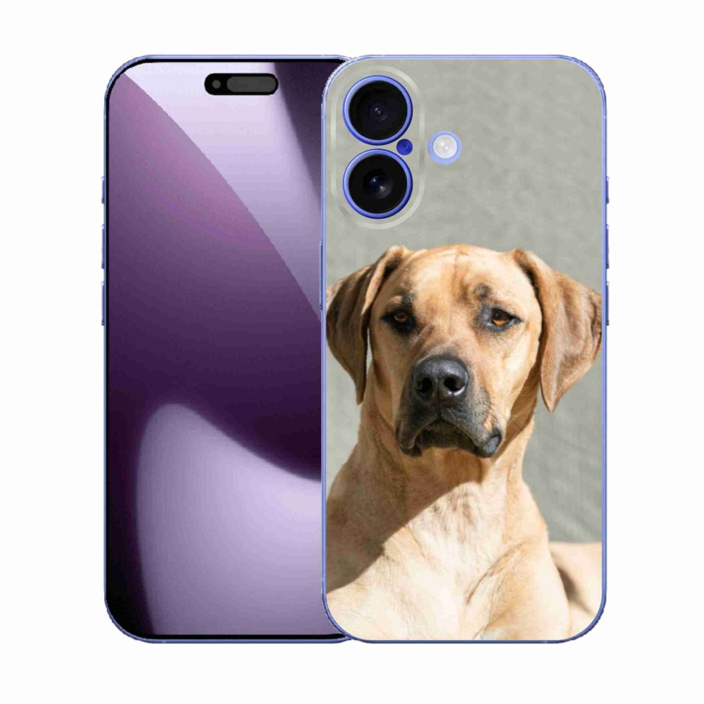 Zselés borítás mmCase iPhone 17 készülékhez - ridgeback
