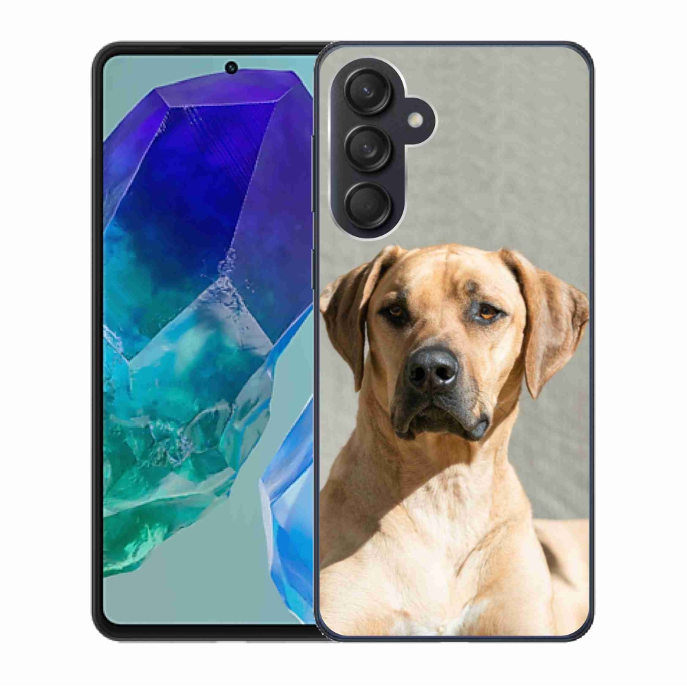 Gél védőhuzat mmCase Samsung Galaxy M55 5G - ridgeback