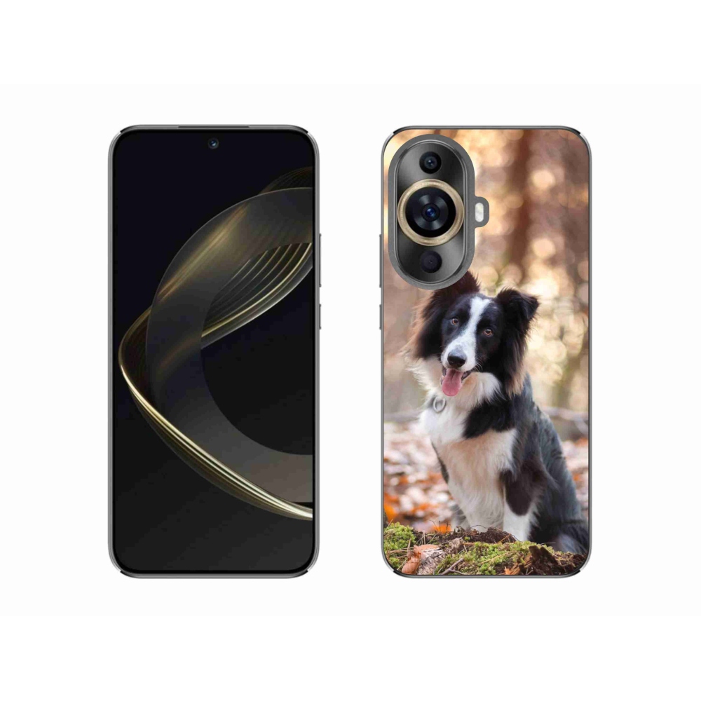 Gél tok mmCase a Huawei Nova 11-hez - border colie 1