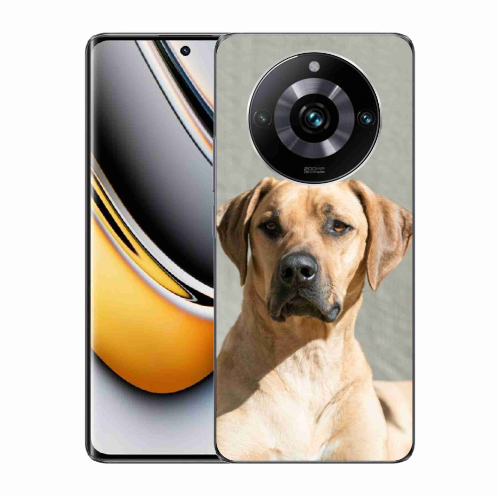 Gél borítás mmCase a Realme 11 Pro/11 Pro+ készülékhez - ridgeback