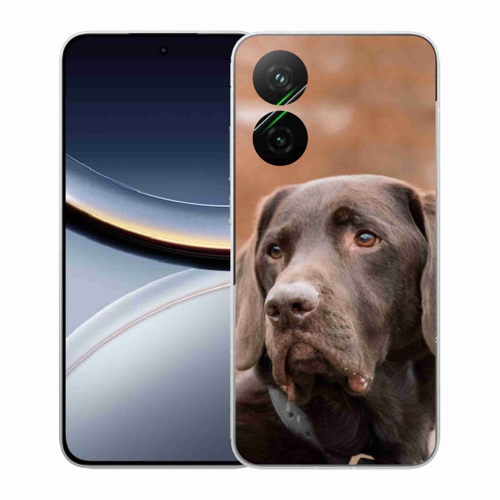 Gél borítás mmCase a Xiaomi Poco F7 5G-hez - barna labrador