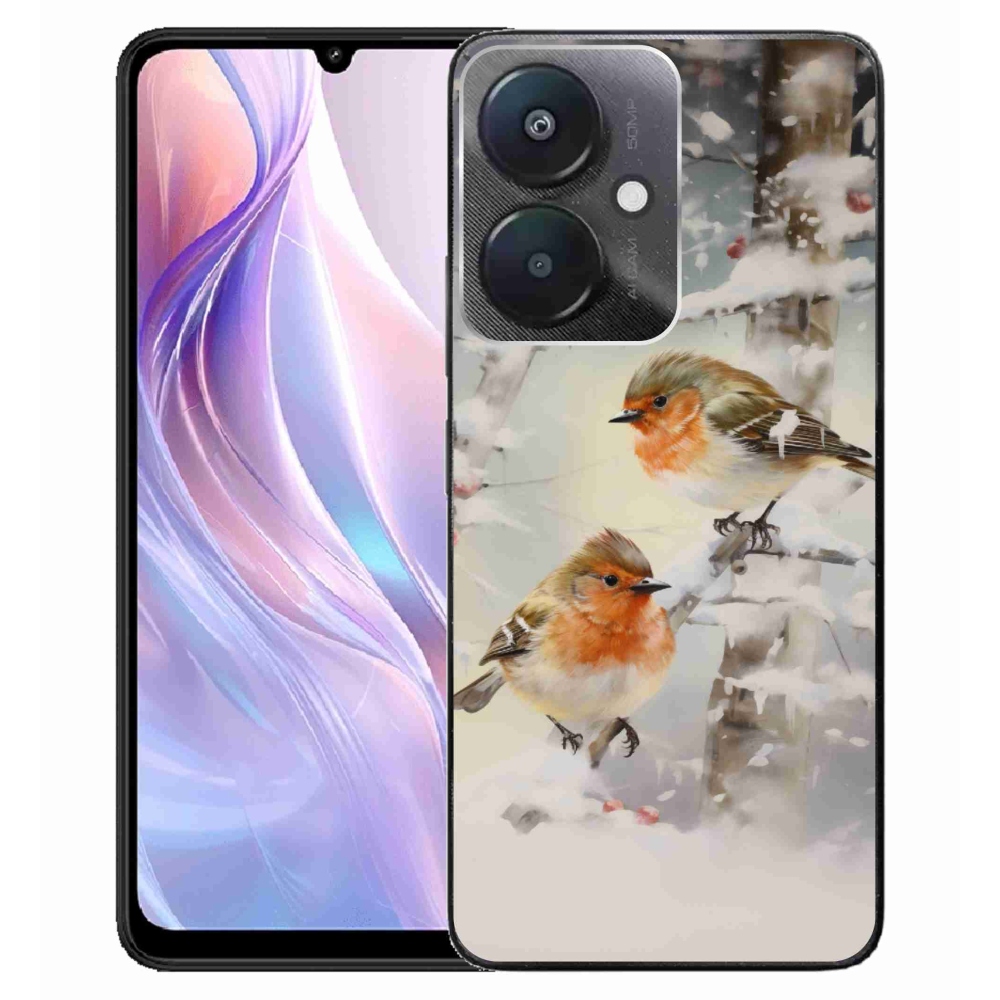 Gél borító mmCase a Xiaomi Redmi 13C 5G számára - madarak télen