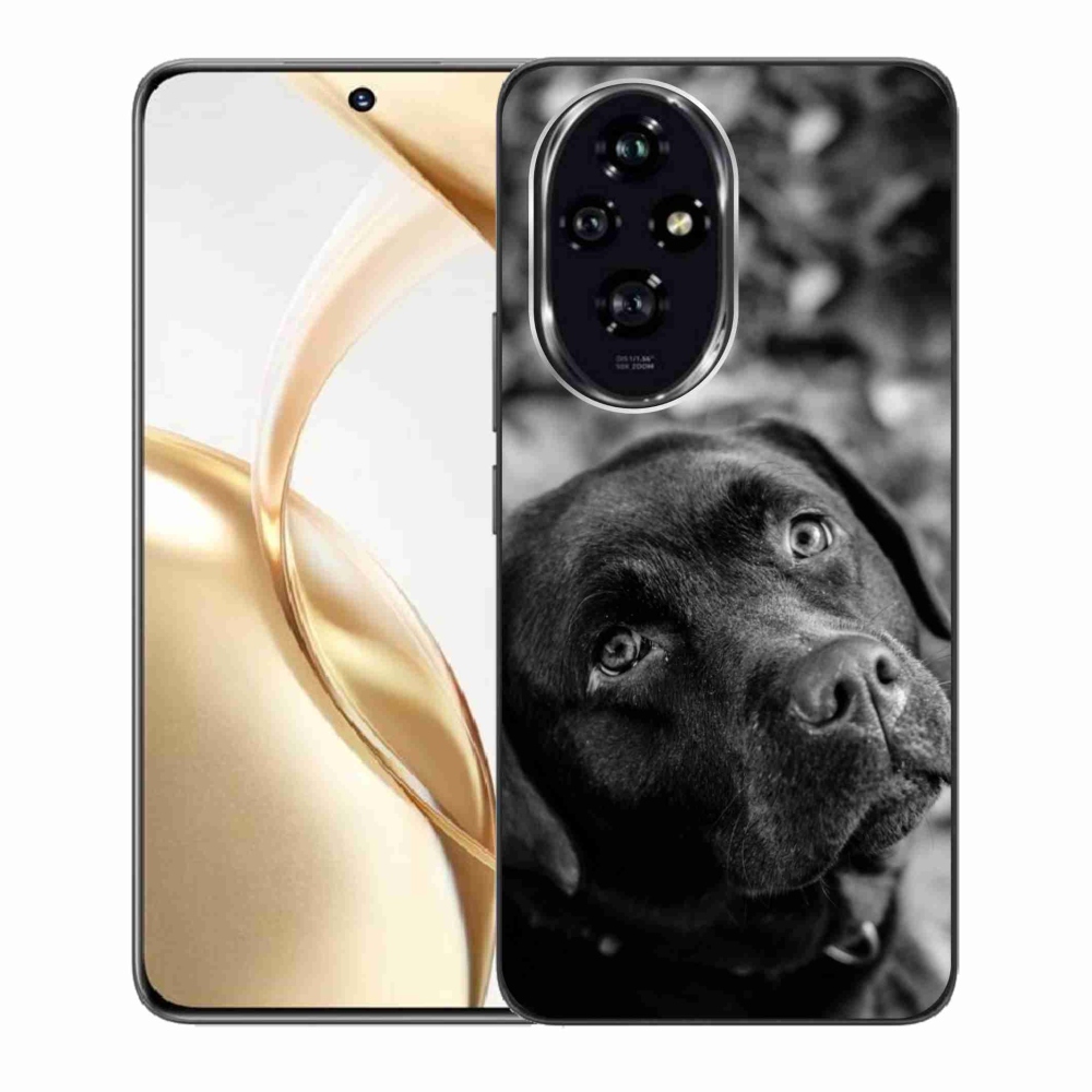 Gél tok mmCase a Honor 200 5G készülékhez - labrador