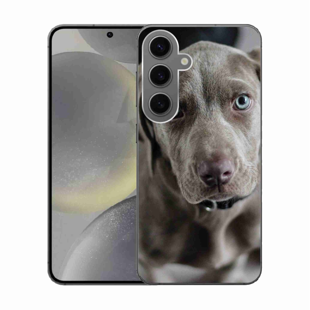 Gél tok mmCase Samsung Galaxy S24 készülékhez - Weimaraner