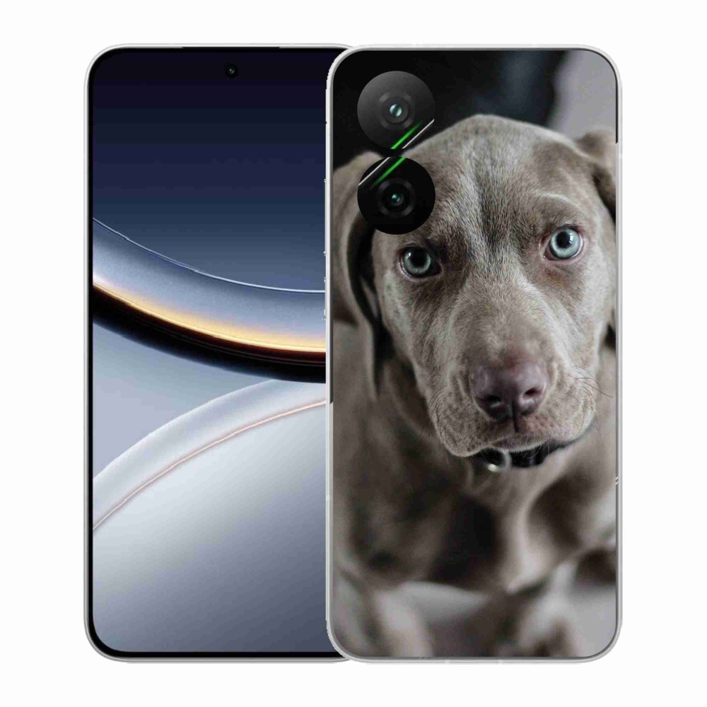 Gélburkolat mmCase a Xiaomi Poco F7 5G-hez - a nemes vadászkutya