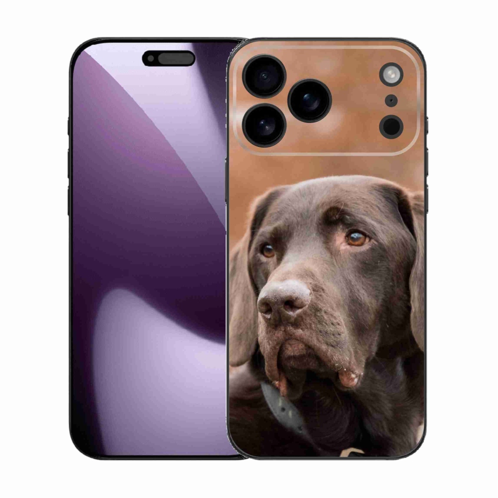 Zselés borítás mmCase iPhone 17 Pro Max készülékhez - barna labrador