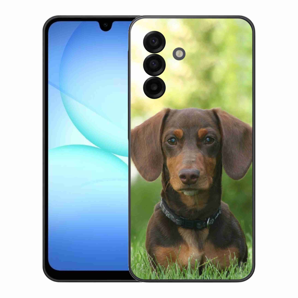 Zselés borítás mmCase Samsung Galaxy A17 4G/5G - barna tacskóhoz