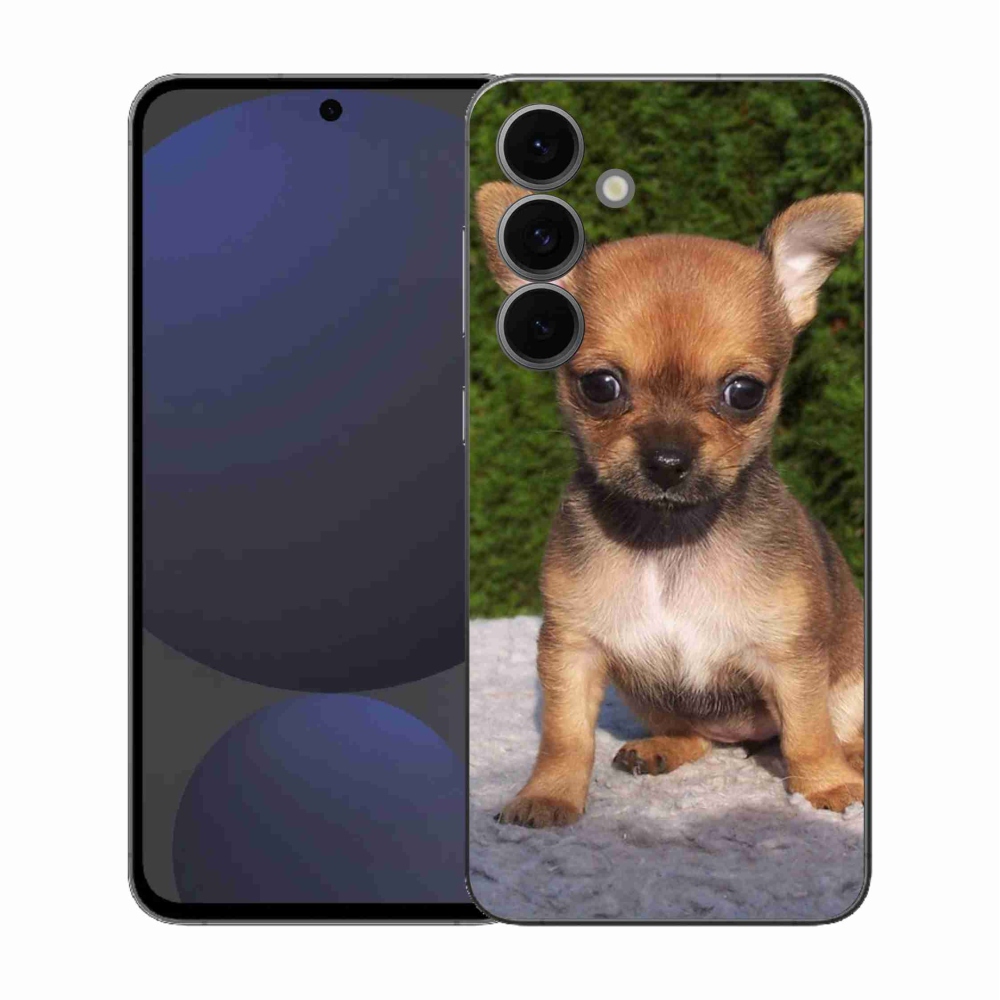 Gél borítás mmCase Samsung Galaxy S25 FE - chihuahua 3