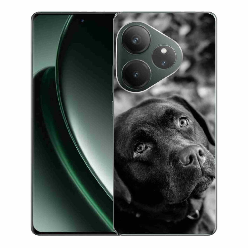 Gél tok mmCase a Realme GT 6 5G/GT 6T 5G számára - labrador színű
