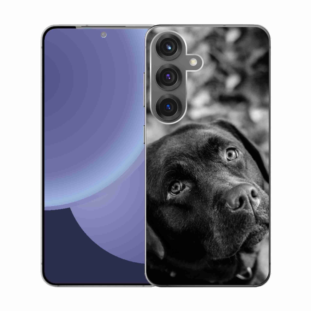 Gél védőhuzat mmCase Samsung Galaxy S25 készülékhez - labrador